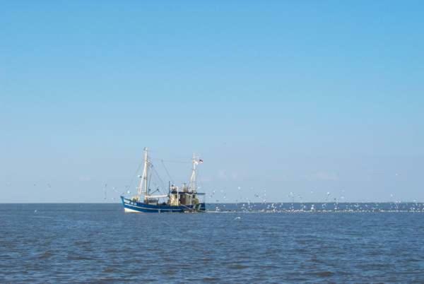 Nonnenganshauser Friedrichskoog Exterior photo